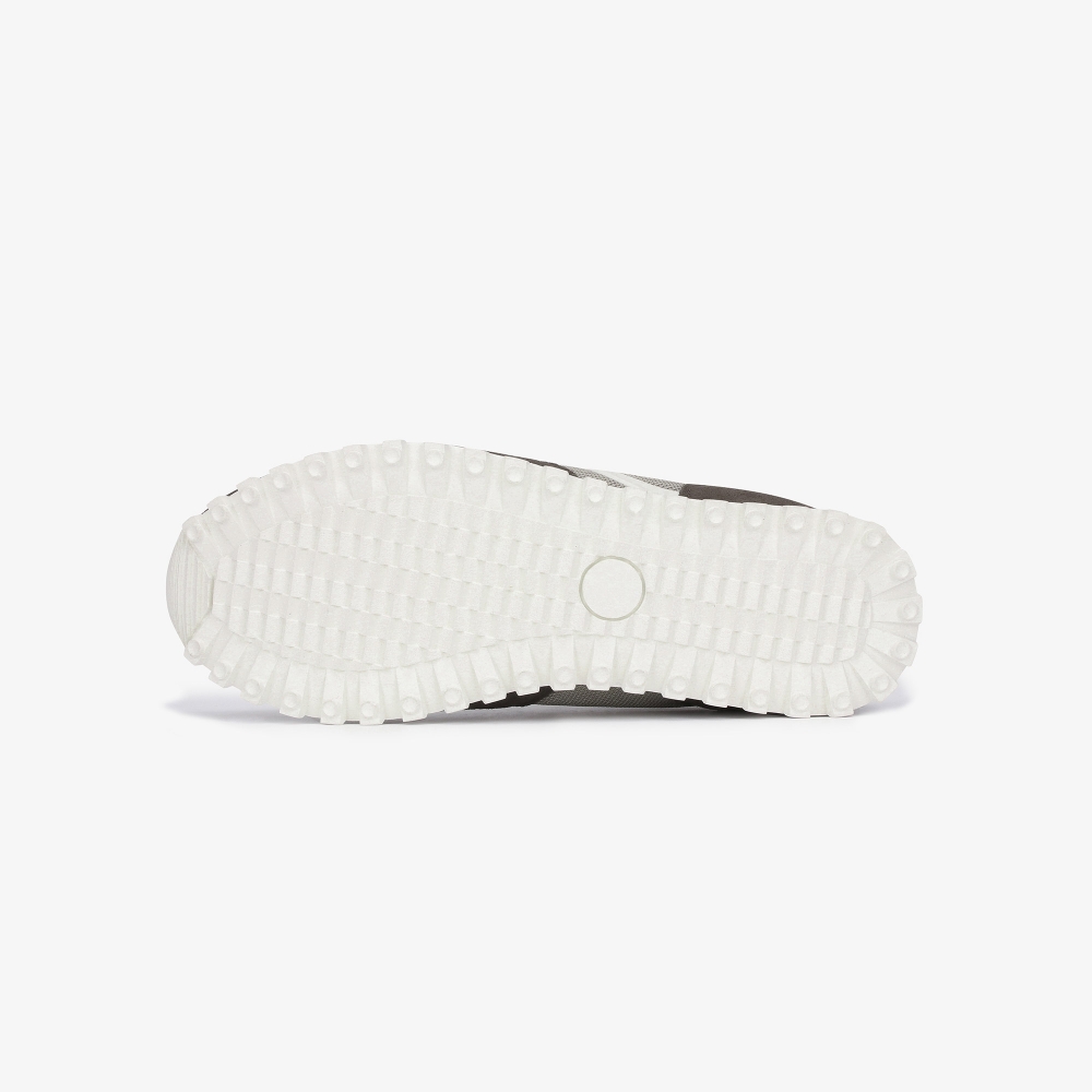 SC Logo Spikeless_GY