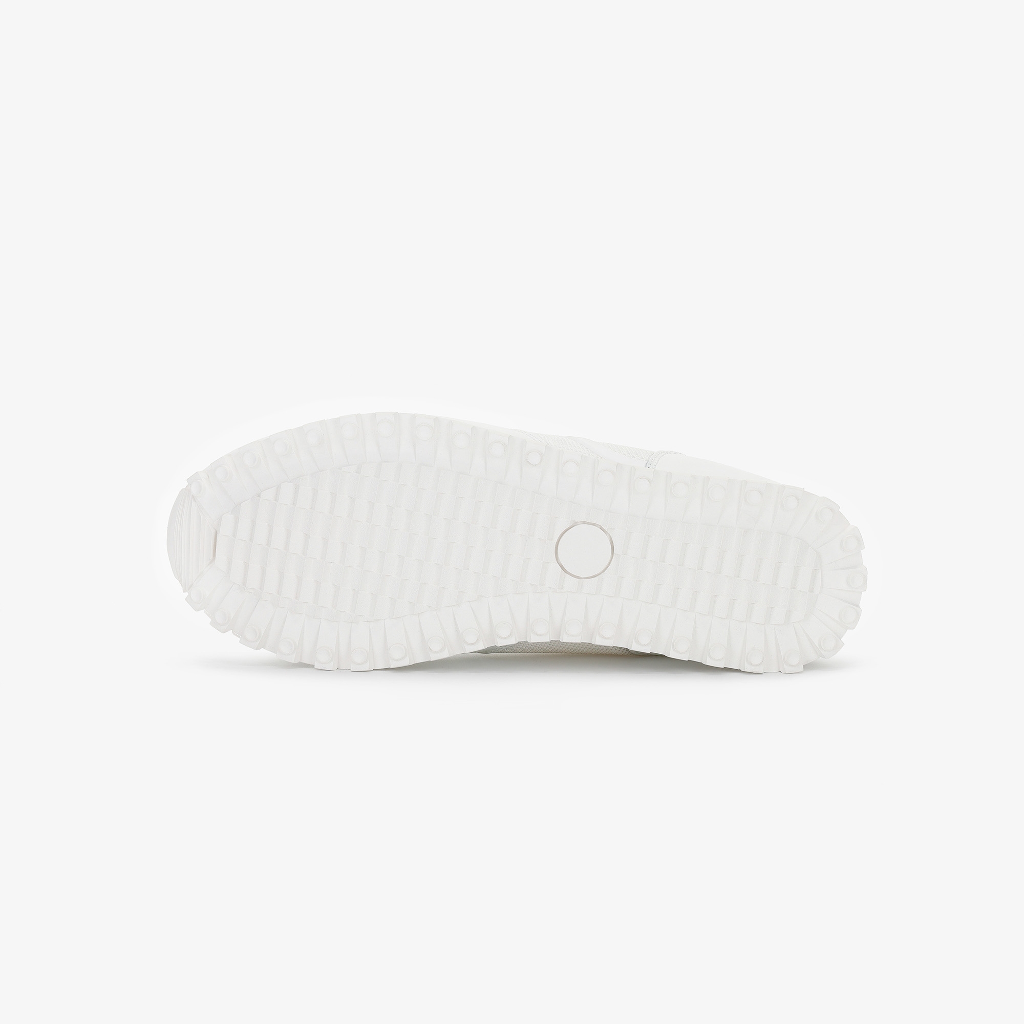 SC Logo Spikeless_WT