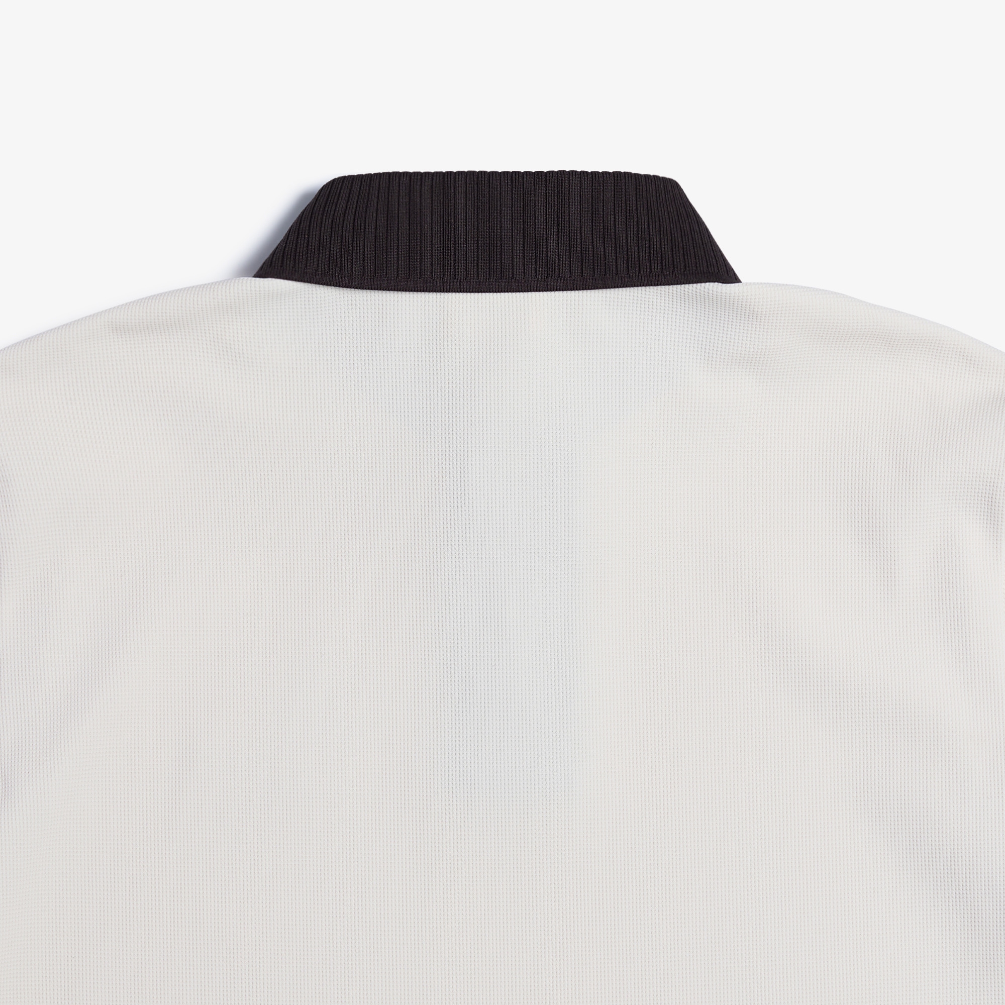 Buddy Wappen Color Collar T-shirt_LE