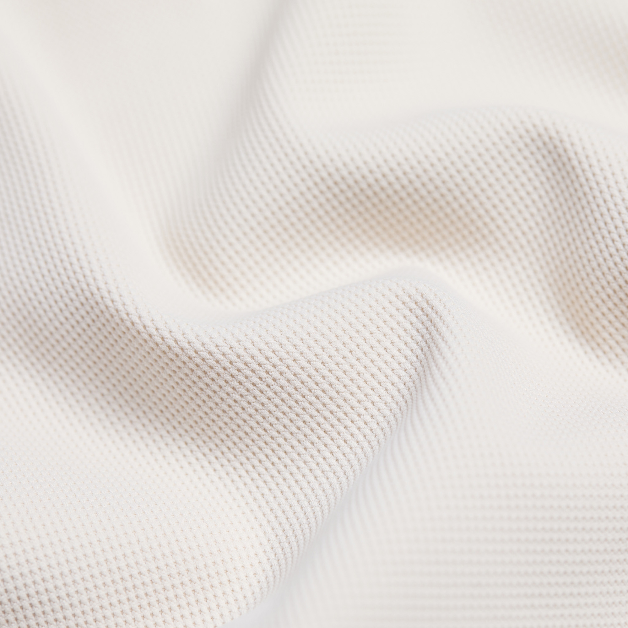 Buddy Wappen Color Collar T-shirt_LE