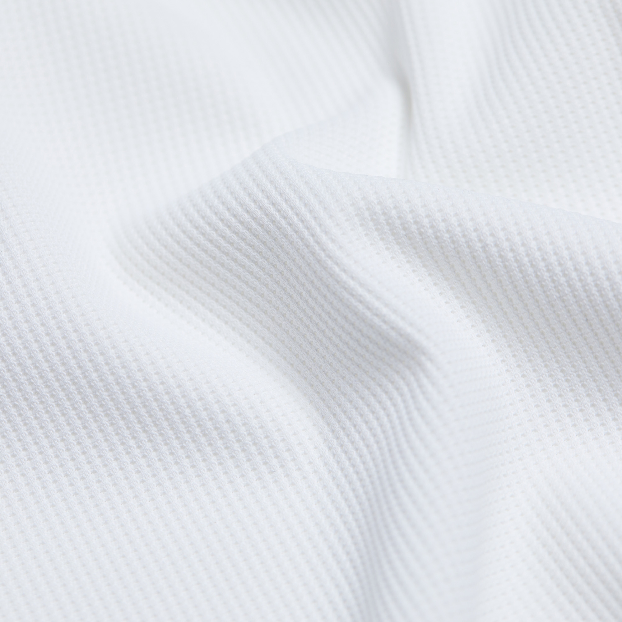 Buddy Wappen Color Collar T-shirt_WT