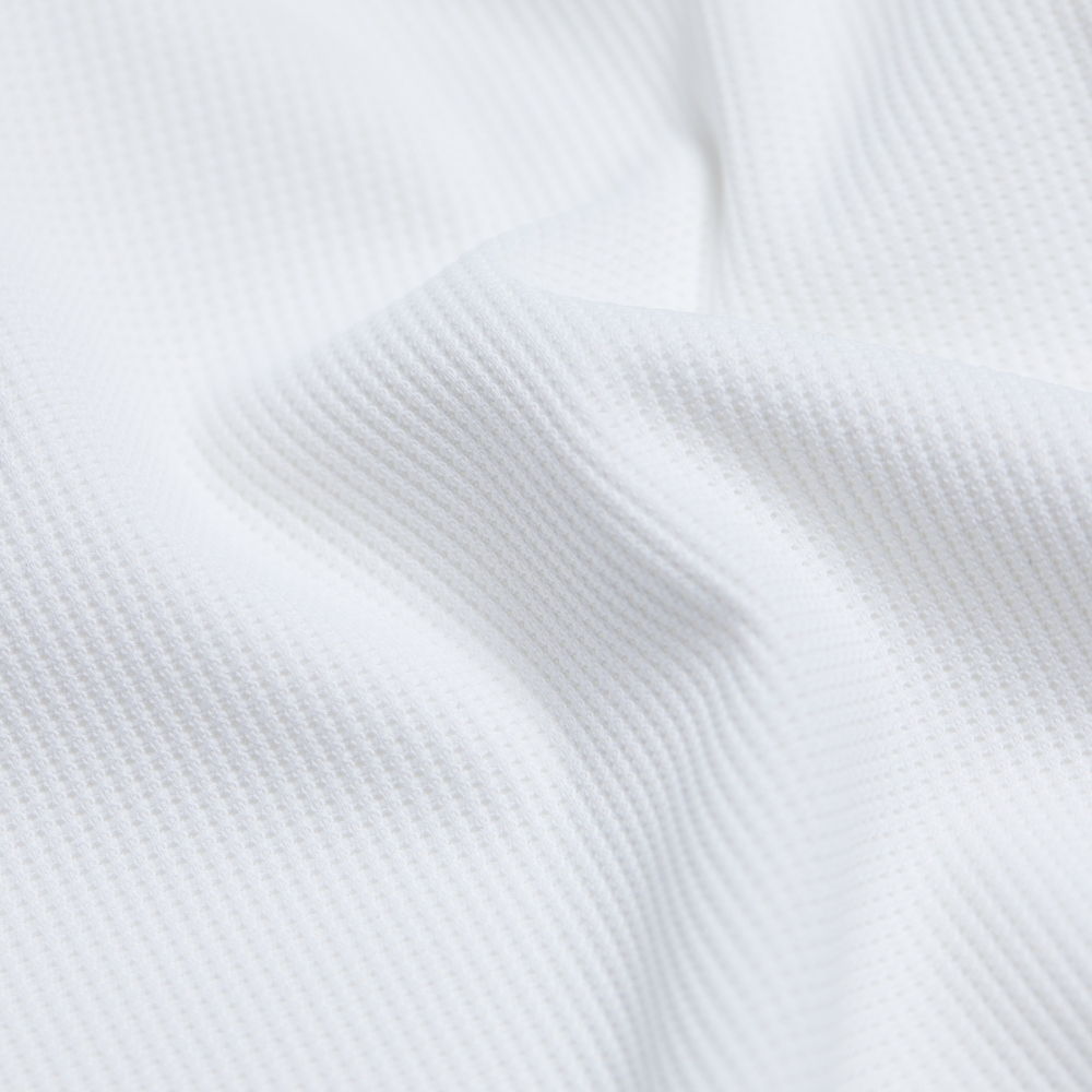 Buddy Wappen Color Collar T-shirt_WT