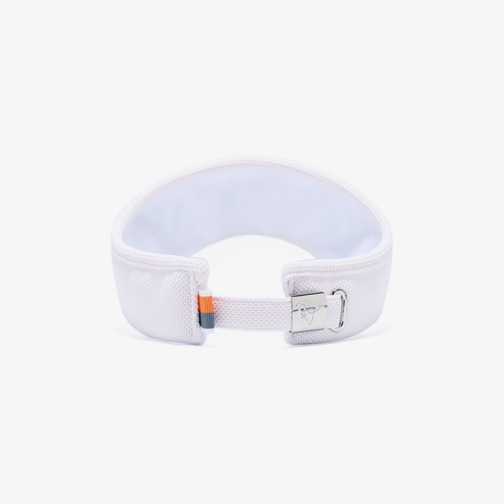 Logo Visor_LP