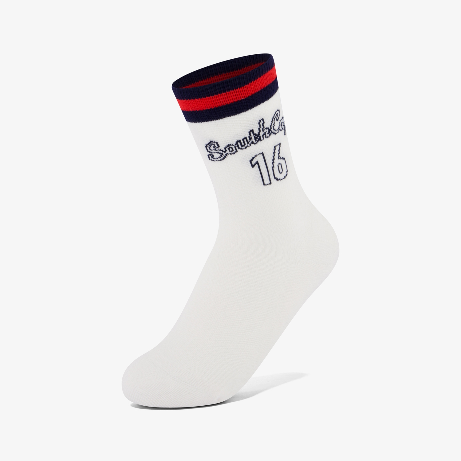 Color Stripe 16 Logo Socks_NA