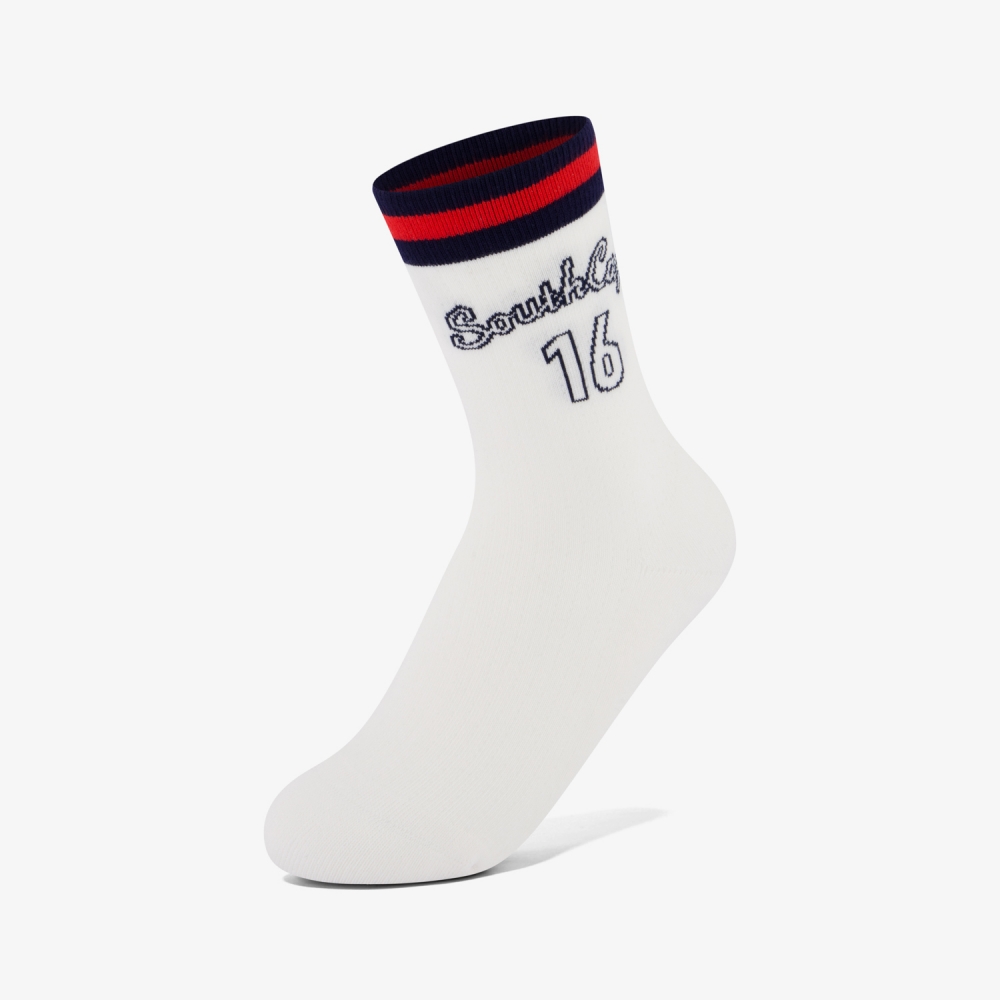 Color Stripe 16 Logo Socks_NA