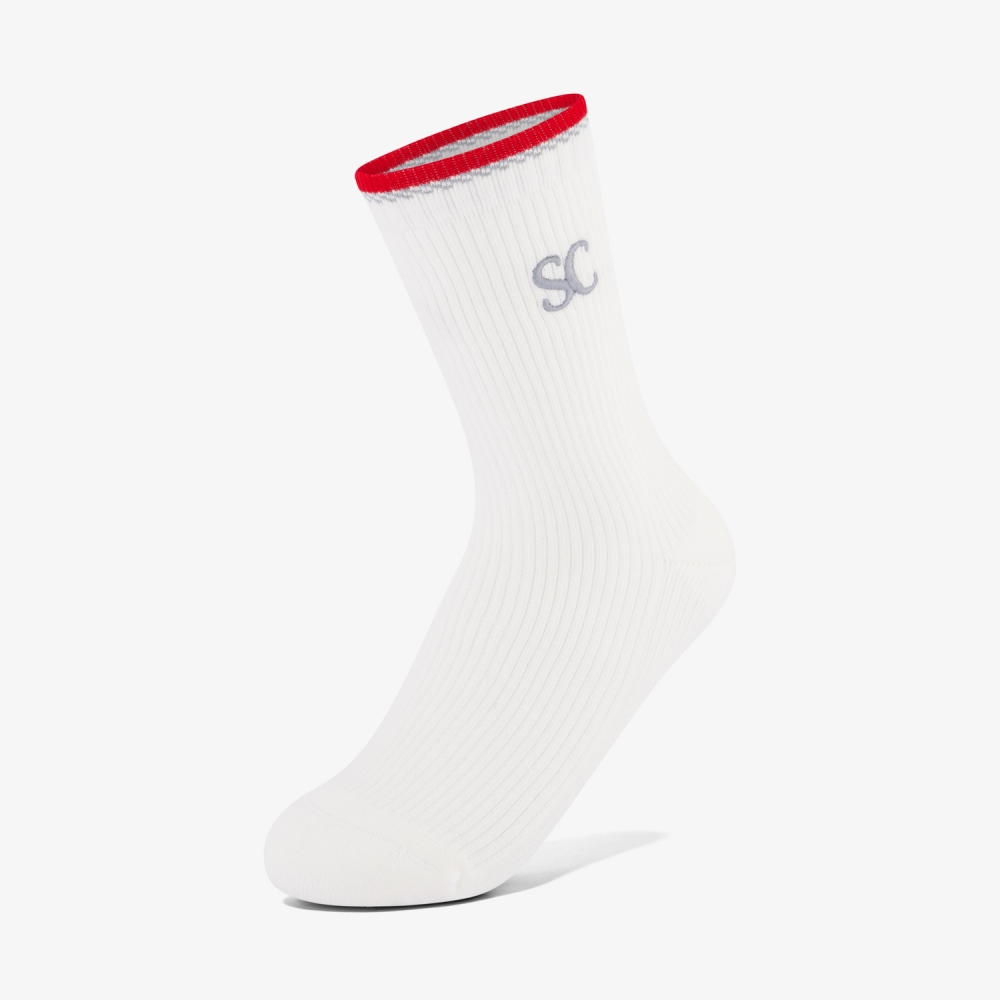 Color-Blocked Point Socks_GY