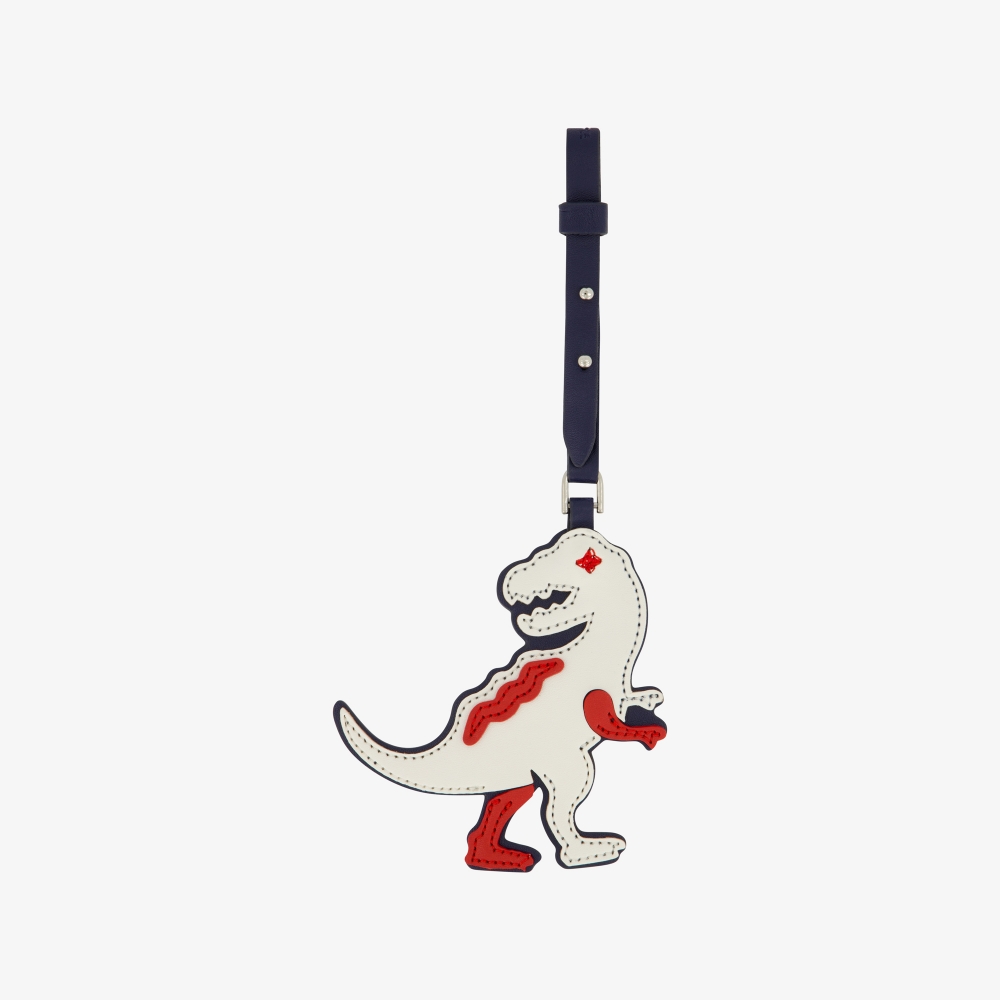 Birdy Golf Ball Case_NA