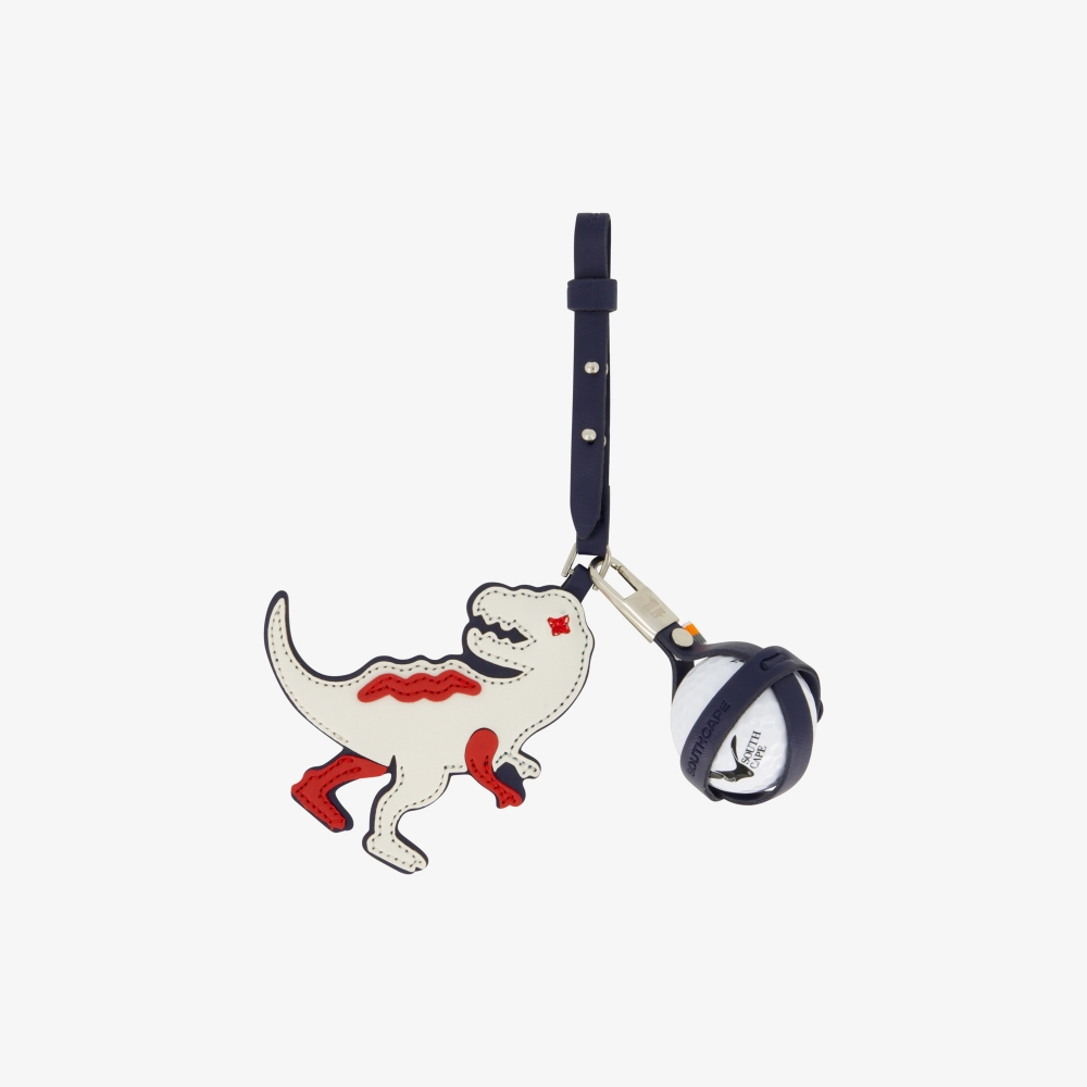 Birdy Golf Ball Case_NA