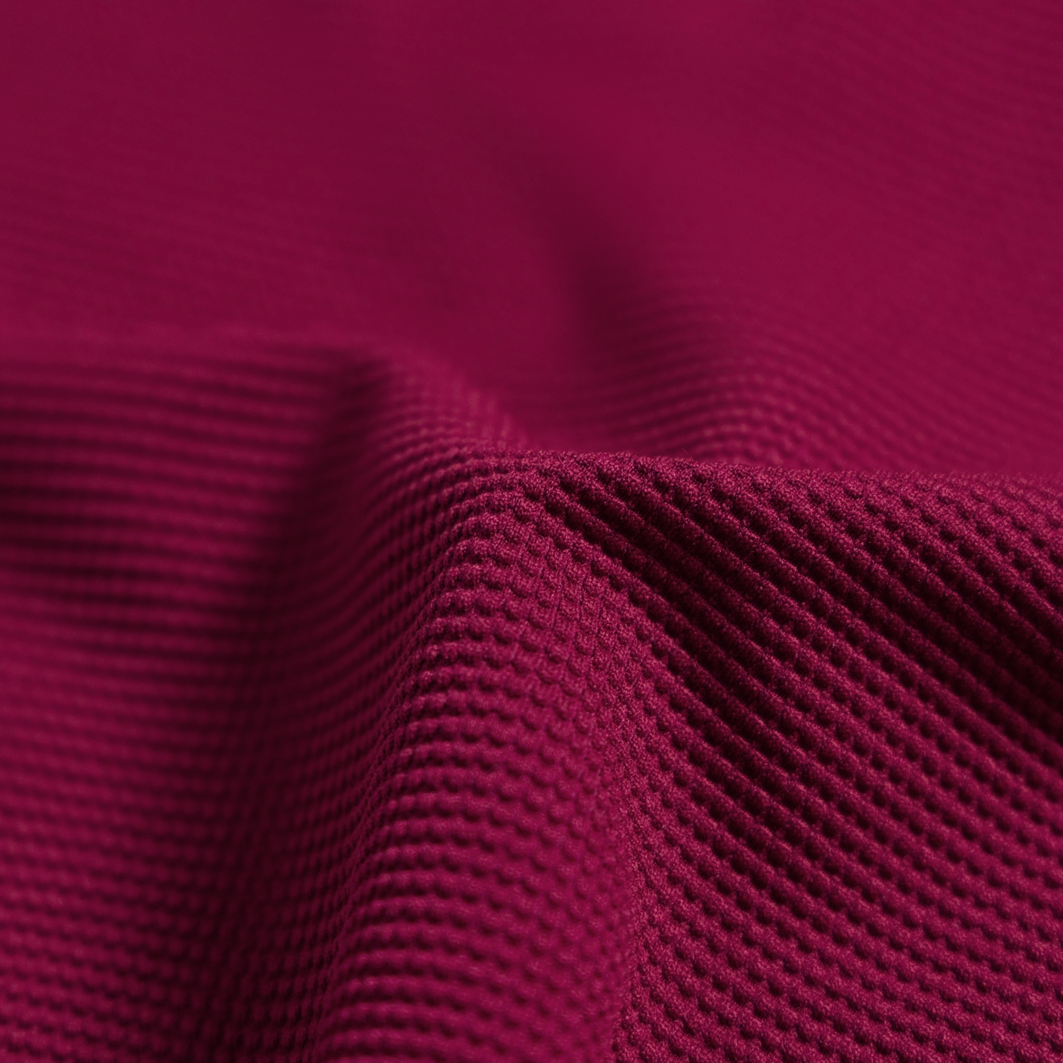 Buddy Embo Touch Color Collar T-shirt_DR