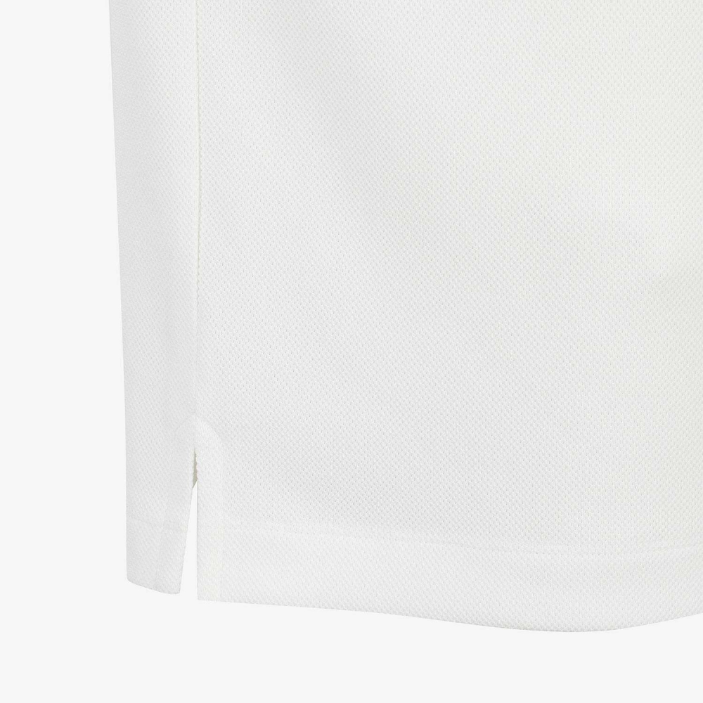 Southcross Sleeve Stripe Short-Sleeve T-shirt_WT