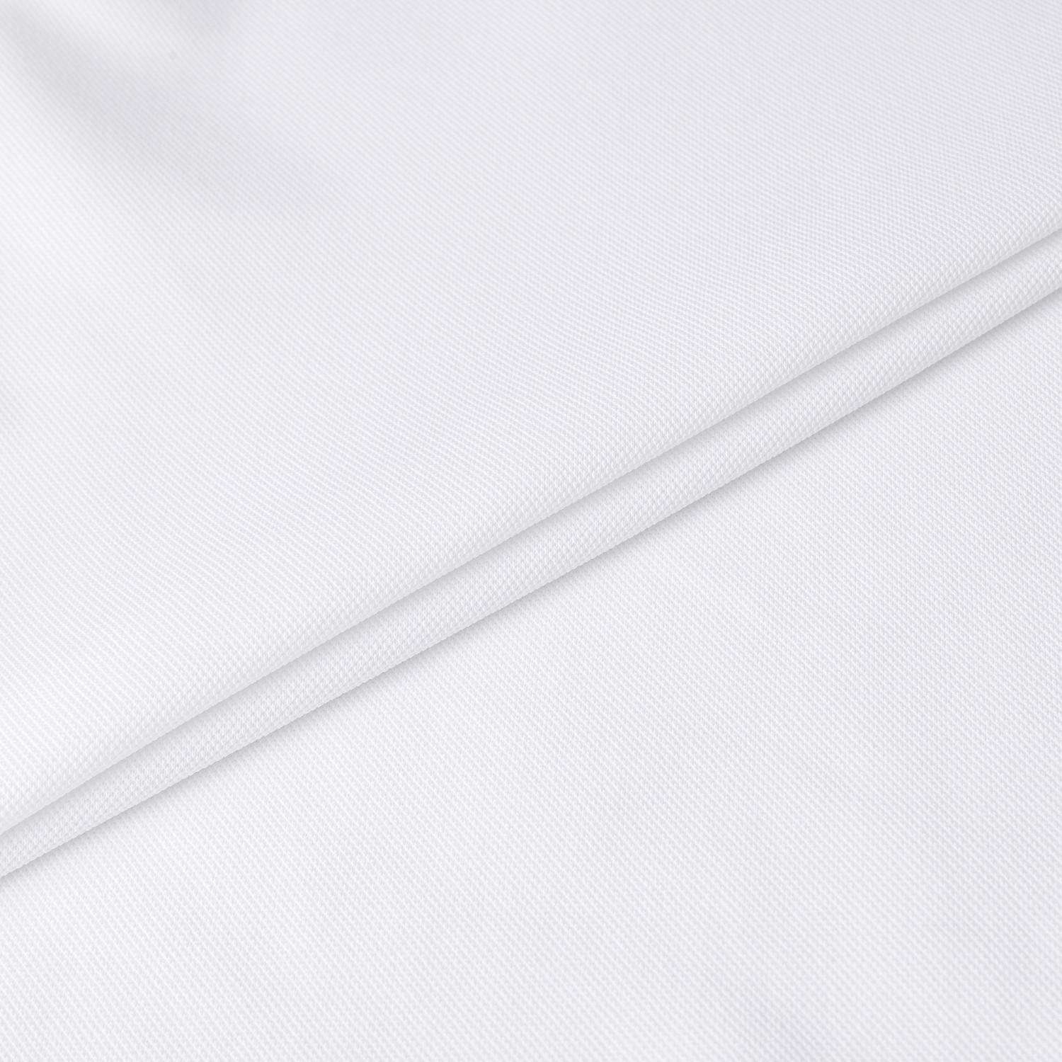 Buddy Contrast Line Collar T-Shirt_WT