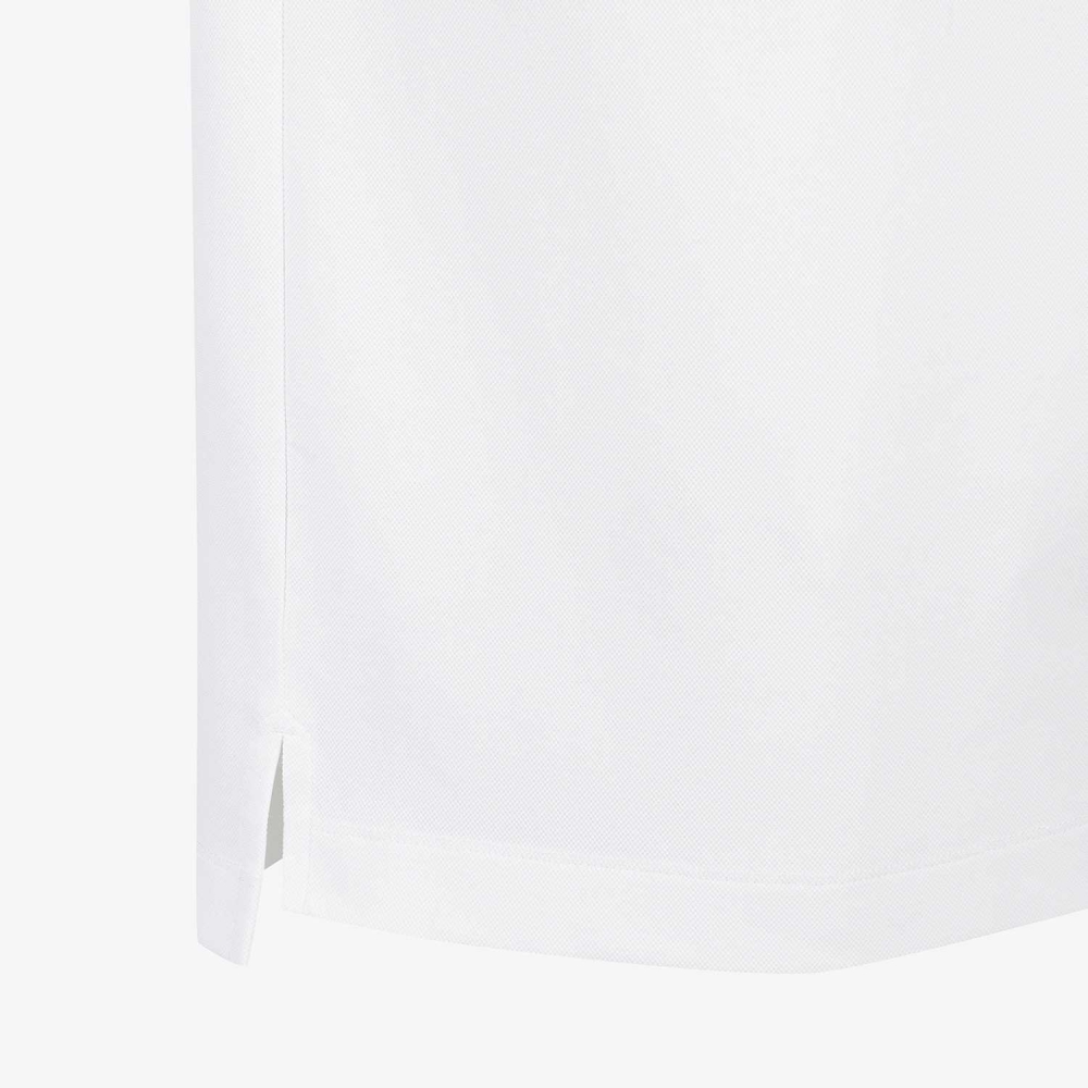 Buddy Contrast Line Collar T-Shirt_WT