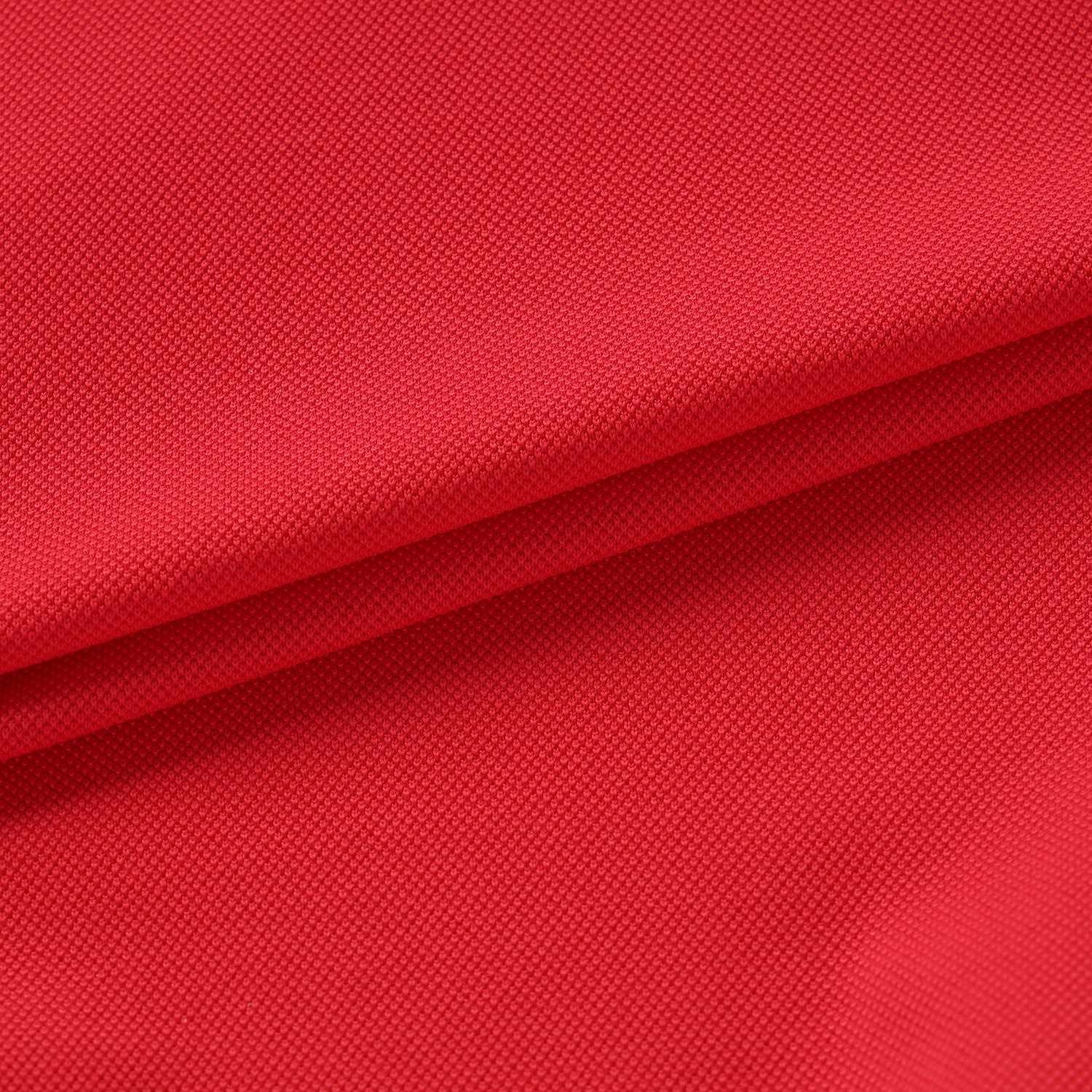 Contrast Knit Collar Polo T-Shirt_RD