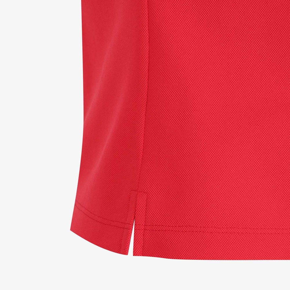 Contrast Knit Collar Polo T-Shirt_RD