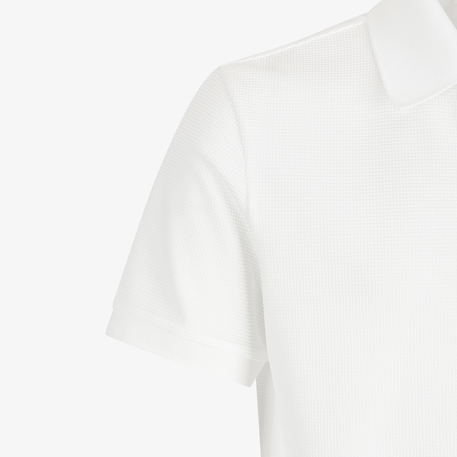 Contrast Collar Short-Sleeve T-Shirt_WT