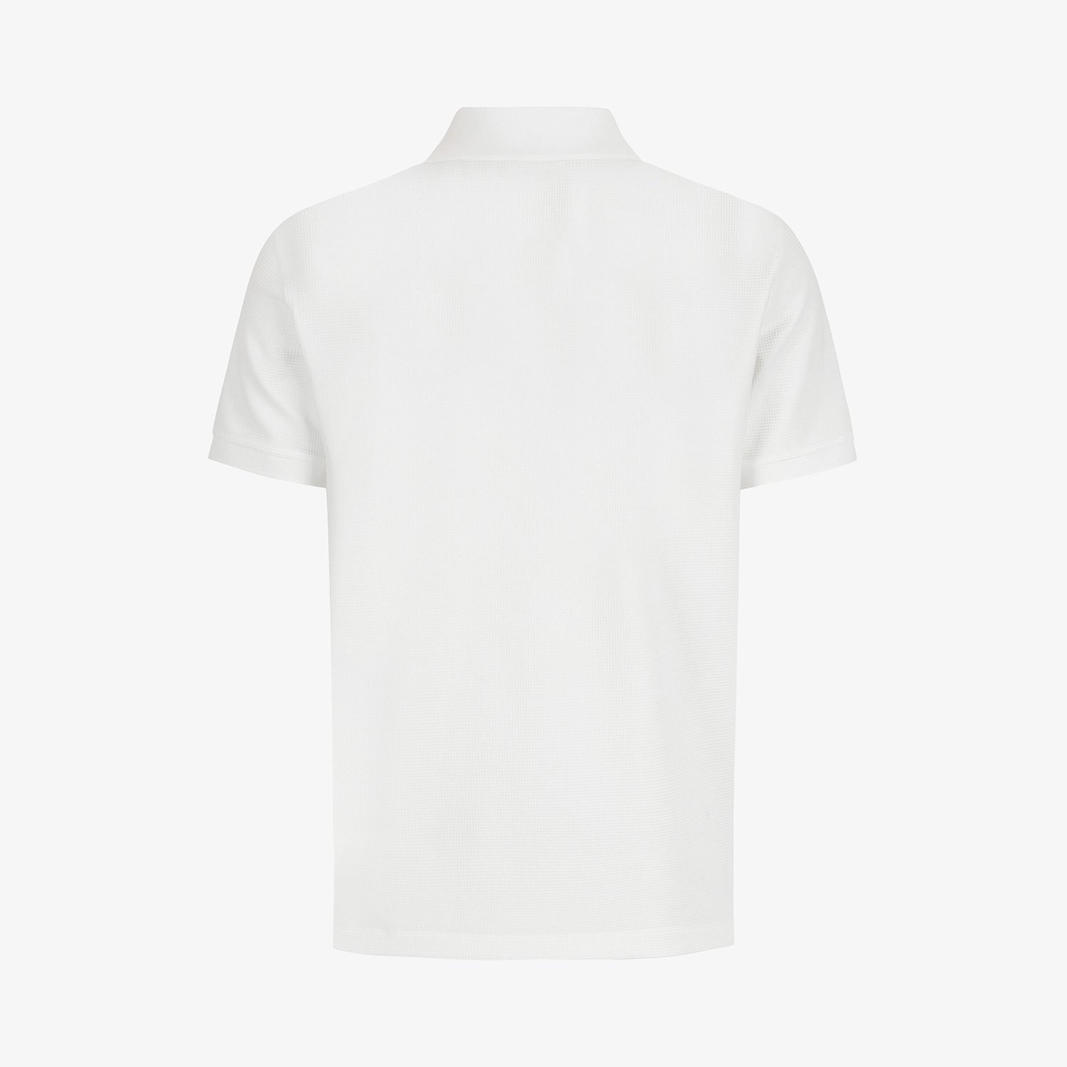 Contrast Collar Short-Sleeve T-Shirt_WT