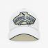 Logo Hexagon Cap_IV